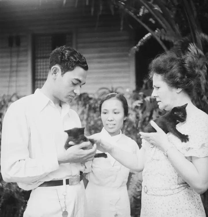At Home, Faculty Hill; Soil Erosion, College Caingins. June '34. Harry Varian, Miss Mesa,, Anne, Shirochan & Nekochan. Panatomic 6 x 6.