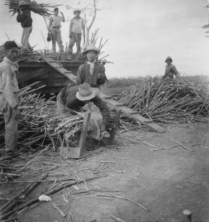 Canlubang, & Hugo Curran's caingin [kaingin], Makiling, Jan. '34. Rothkirk's loading rack. 5.6 1/100.
