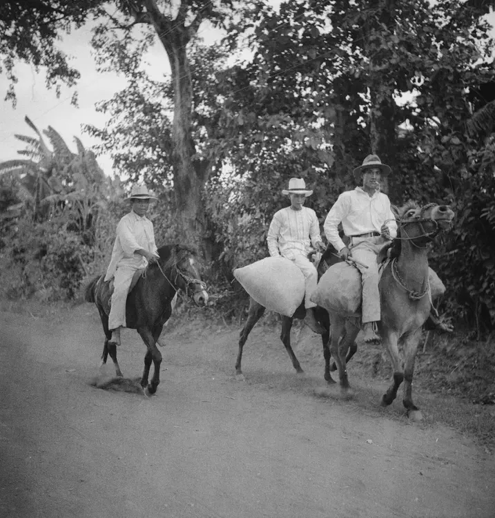 Macolot Mt. [Mount Macolod] and Pansipit Road, Batangas. Nov. 30 '33. Wayfarers on Taal Bulayan road. Eastman Panchromatic Rolleiflex