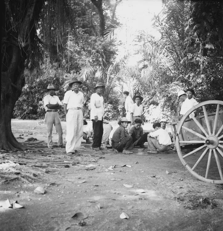 Trees of Manila. June 1, 1934. [Mehan] Garden laborers play checkers.