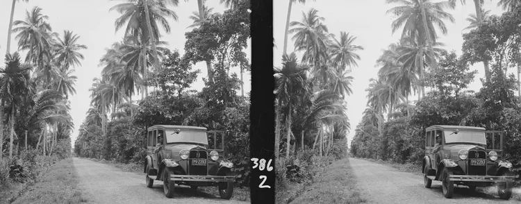 Daet-Basud, on Sipocot Road, Camarines Norte. May 17 '34. General view of Daet-Basud Road at 388-1. Verichrome 6 x 13.