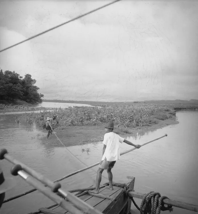 Luzon, P.I. May 20, 1935. Tobacco on Flood plain up river (left) of last. (Ilagan & North, Cagayan Valley, Isabela, Solana, N.W. Tuguegarao, Cagayan Province)