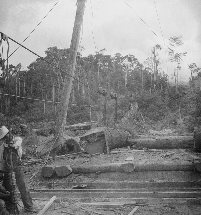 (Bongabon, NE, 1933). Bongabong Sawmill & Calanan, Nueva Ecija. Dec. 30 '33. Bagtican log arriving at mill end of ropeway. Eastman SS Panchromatic 'underdeveloped'.