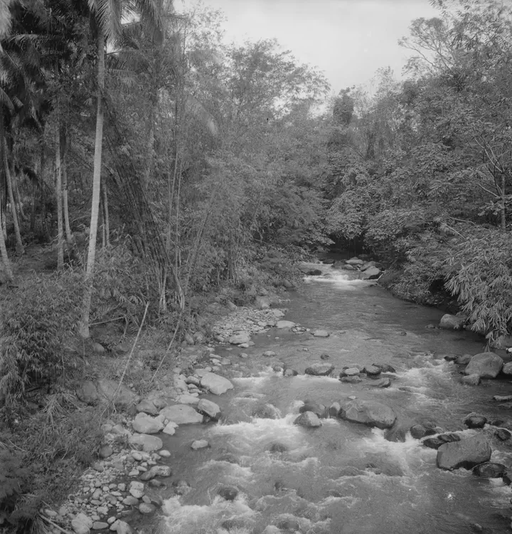 (Dapdap, Tayabas, Quezon, 1934). Dec. 27, 1934. Water from rice fields falling over unprotected bare L. Brown to brown & Light Gray Mottled Clay. Dapdap barrio. Tayabas Town. Agfa Plenachrome 6 x 6