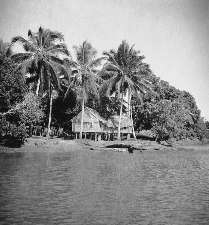 (Upi R., Cotabato, 1933). August 30, 1933. Cotabato-Upi road. Cross-bedded sediments. Huts, coconuts. f.8 1/100.