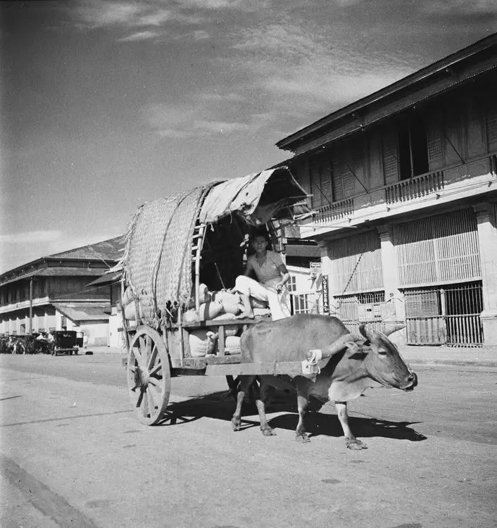 Iloilo, 1933. 'August 23, 1933. Iloilo. Cart.'