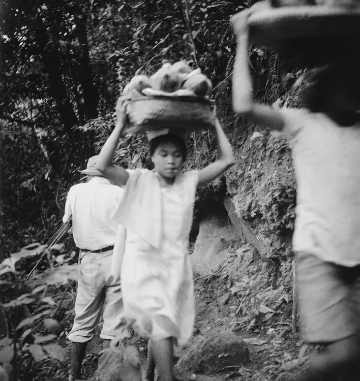 LB, Laguna, 1933. 'Nov. 1933. Caingineros bringing out papayas.'