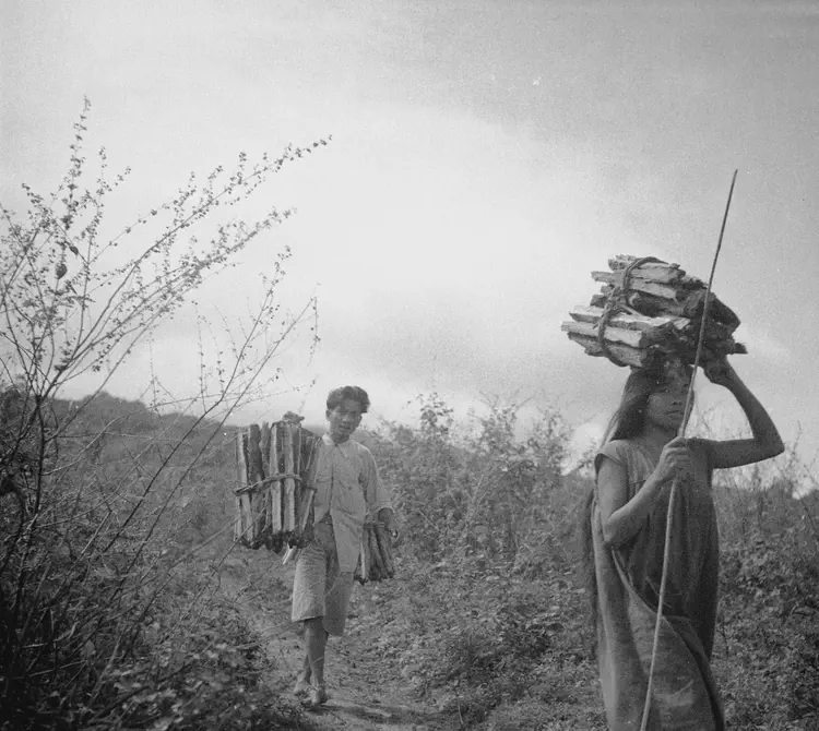 Sitio Paliparan, LB, Laguna, 1934. 'Paliparan Reforestation, Los Banos. Laguna. Jan. 5 '34. Wood carriers. 5.6 1/100.'