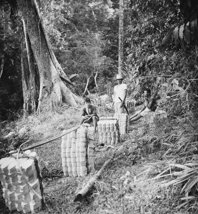 Laguna, 1934. 'Animal Husbandry Pastures & forest, Lopez' area. Jan, 19 '34. Bakia blanks coming out of forest. 3.8 1/10. Eastman SS Panchromatic.'